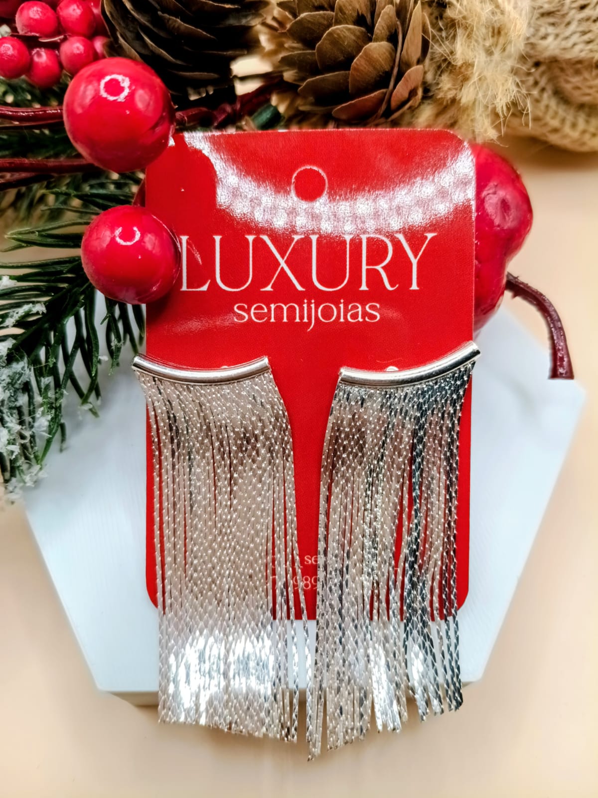 Brinco Franja Banhado a Prata