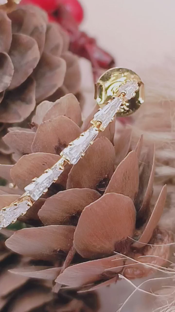 Brinco Argola com Micro Zirconias Cravejadas