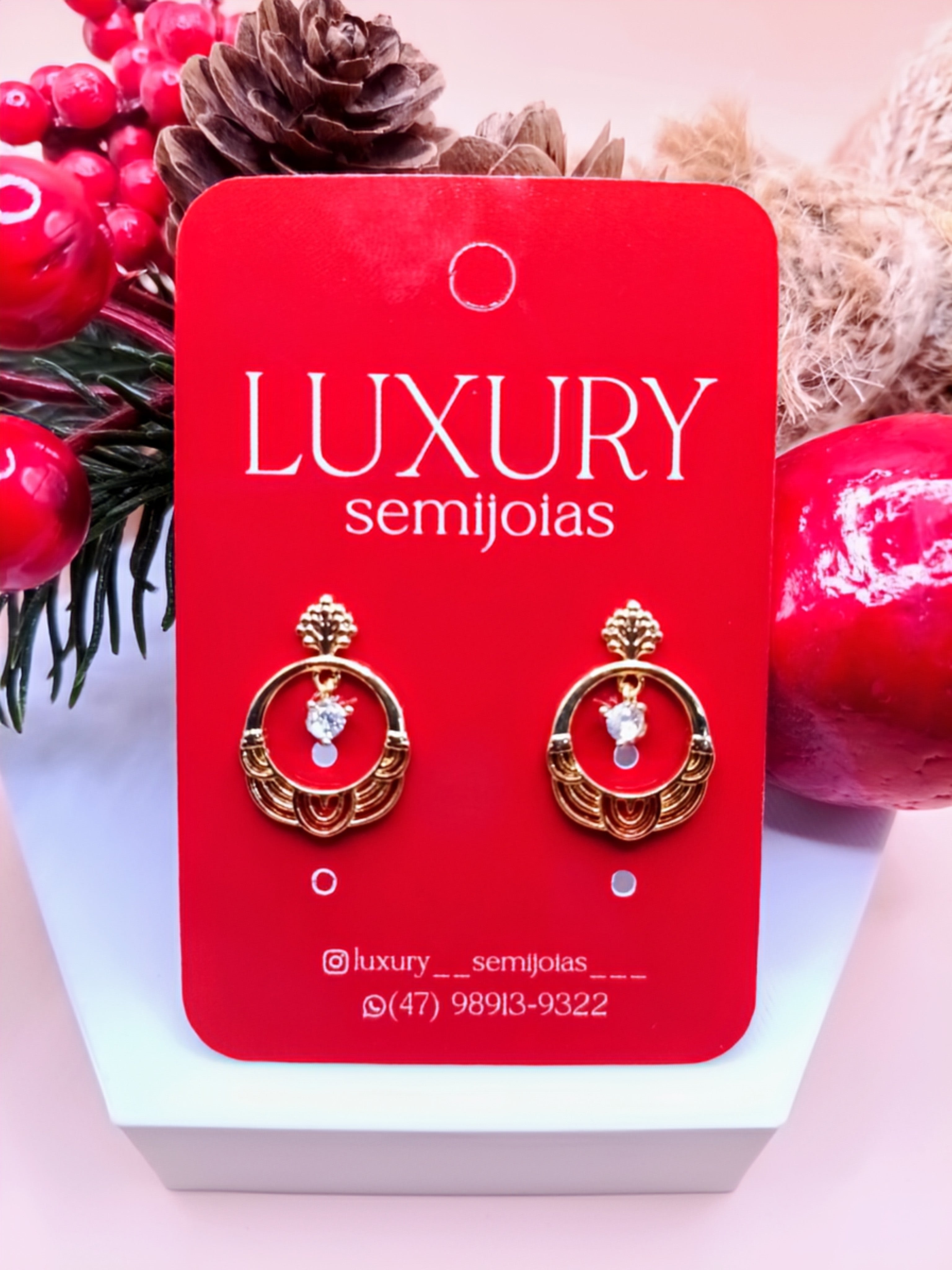 Brinco Redondo com Micro Zirconia