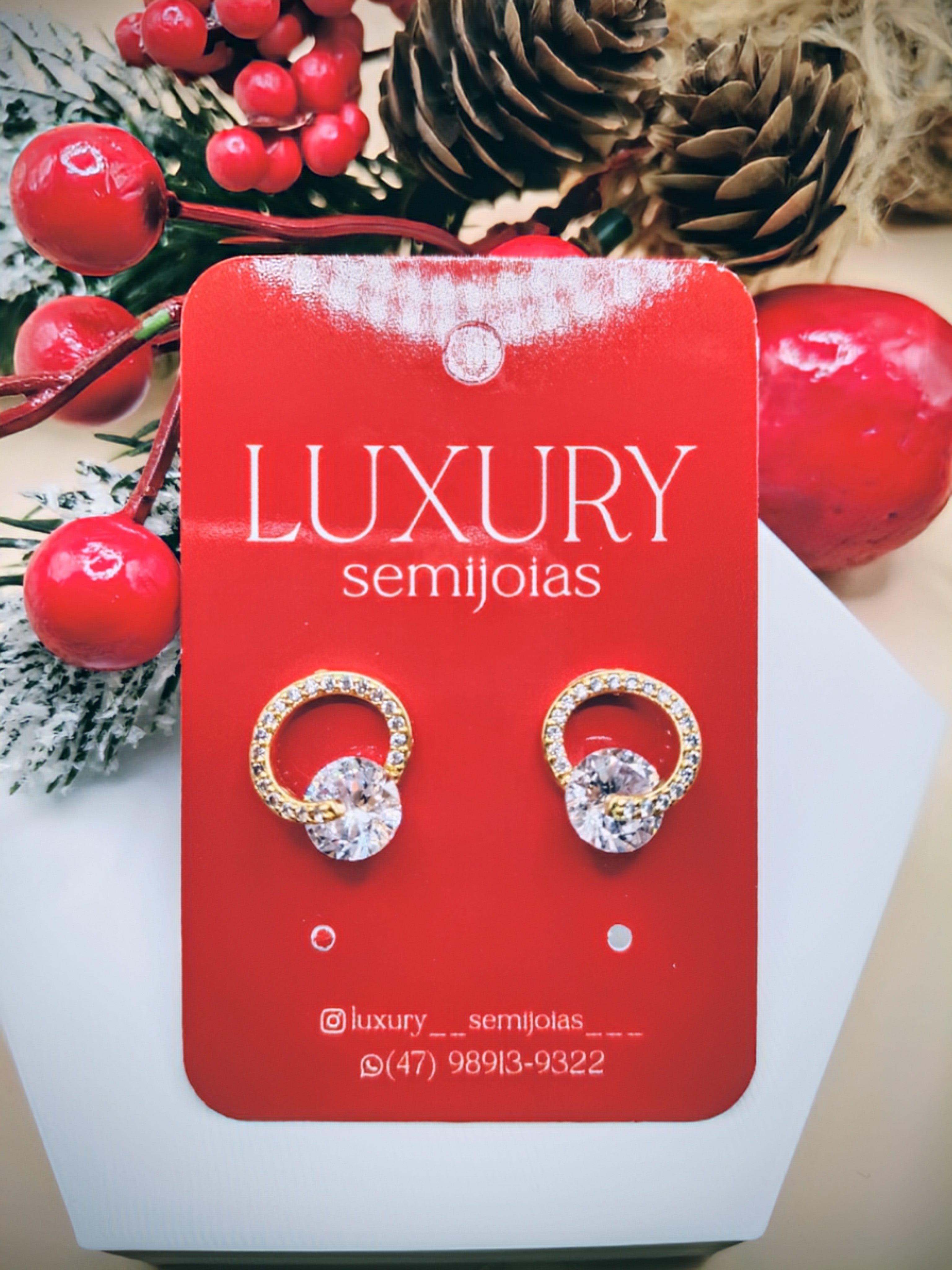 Brinco Círculo e Ponto de Luz