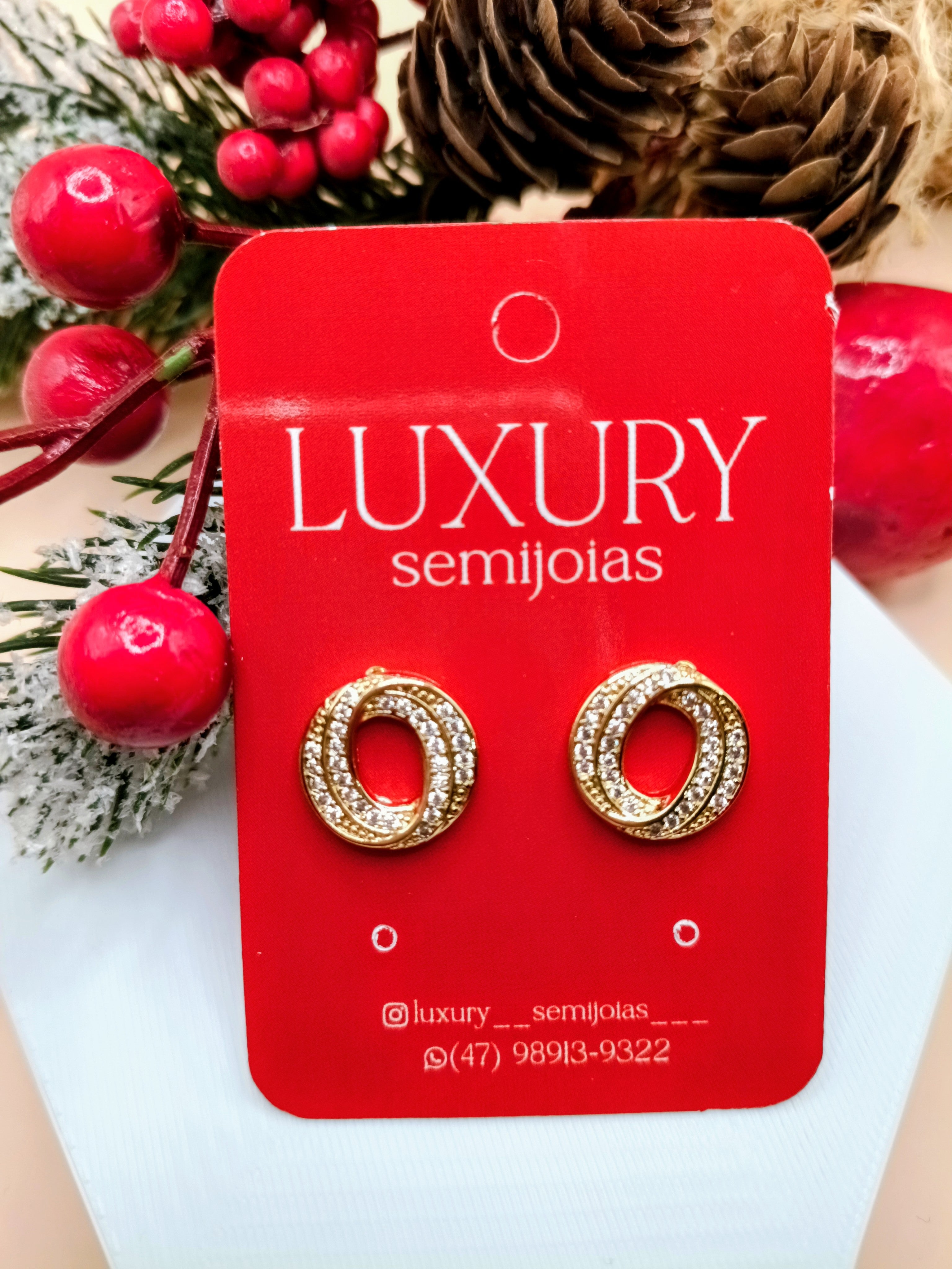 Brinco Redondo Cravejado Zircônia