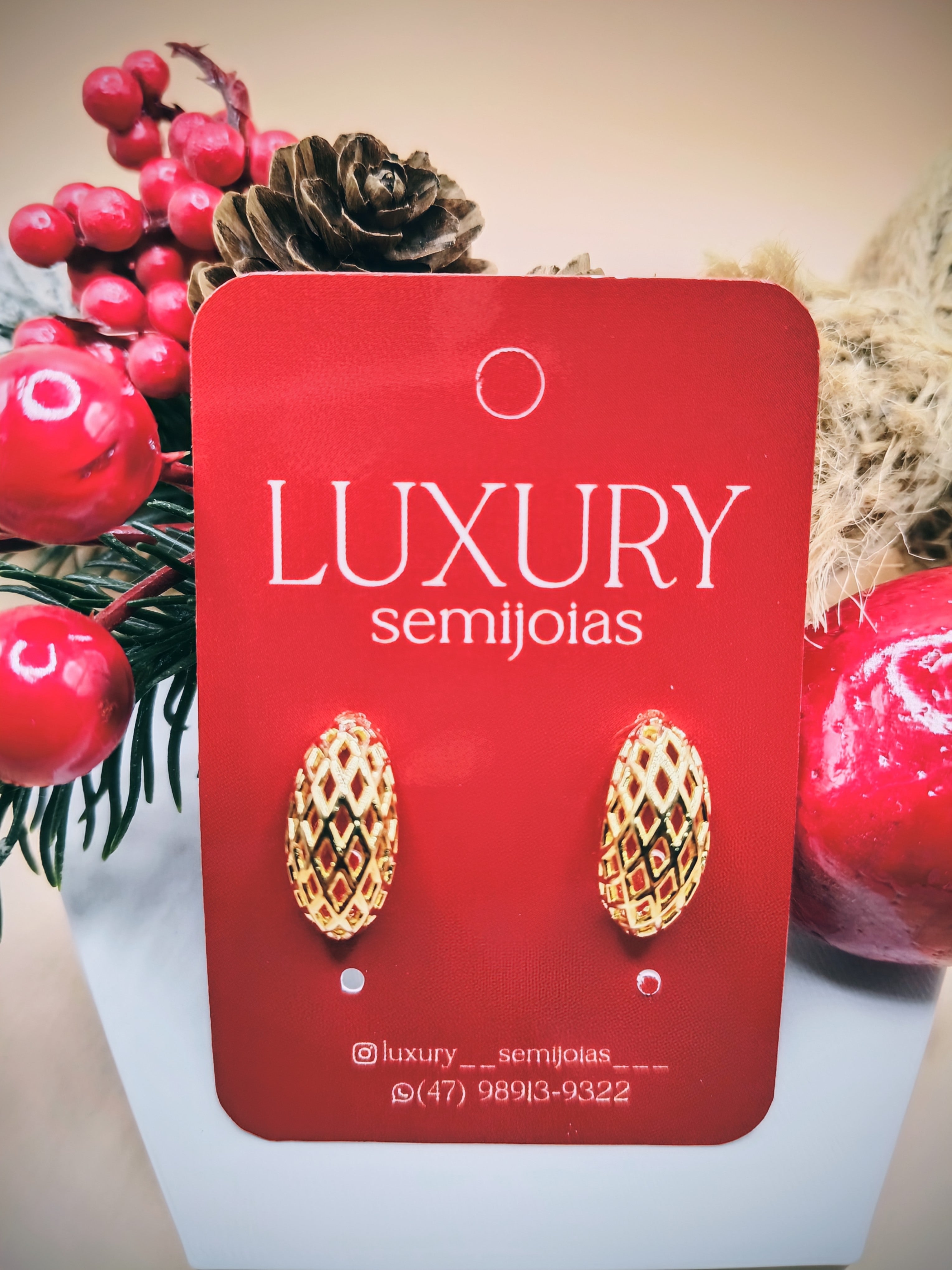 Brinco Gota Pequeno Vazado