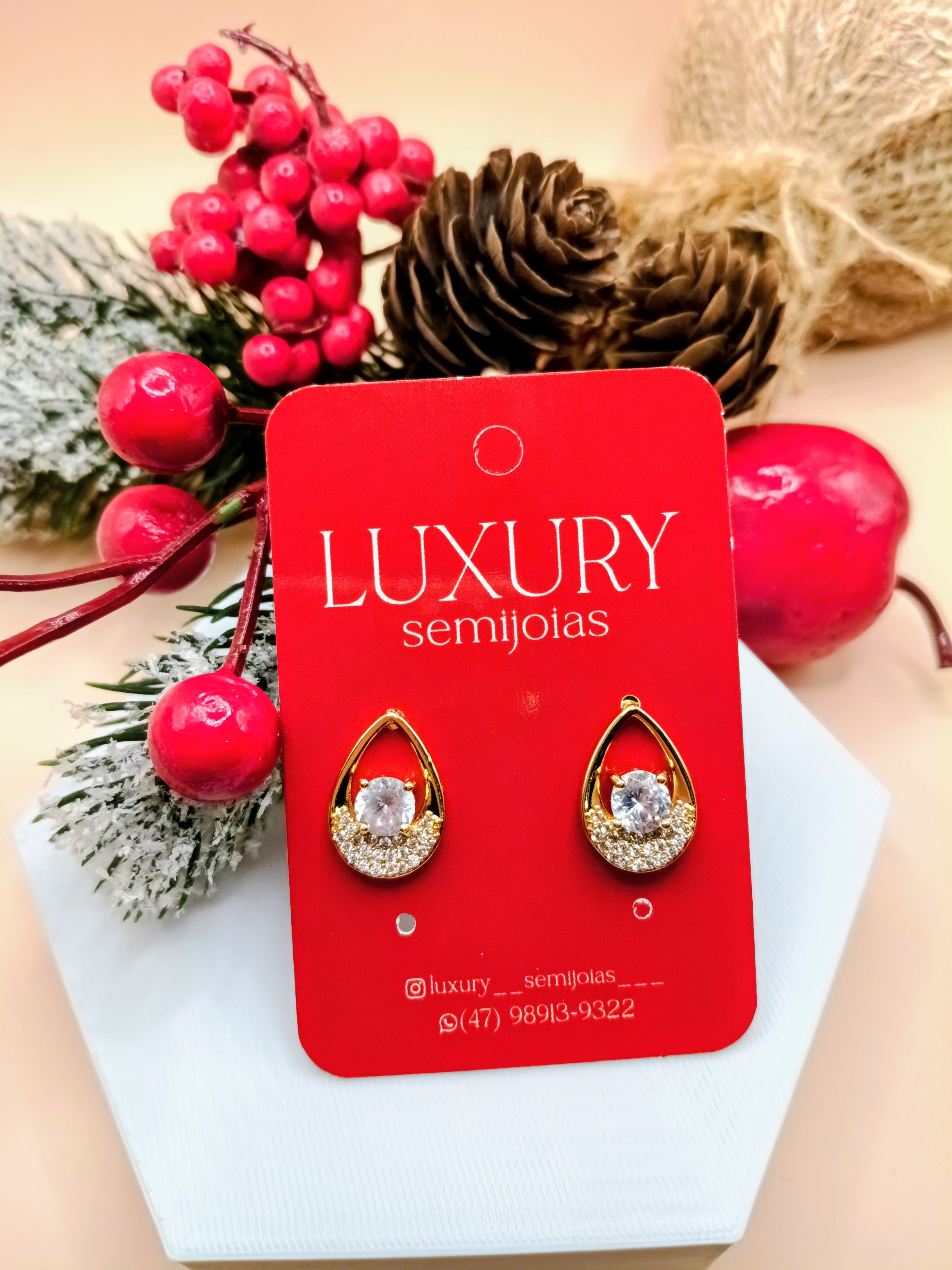 Brinco Gota Cravejado Zircônia